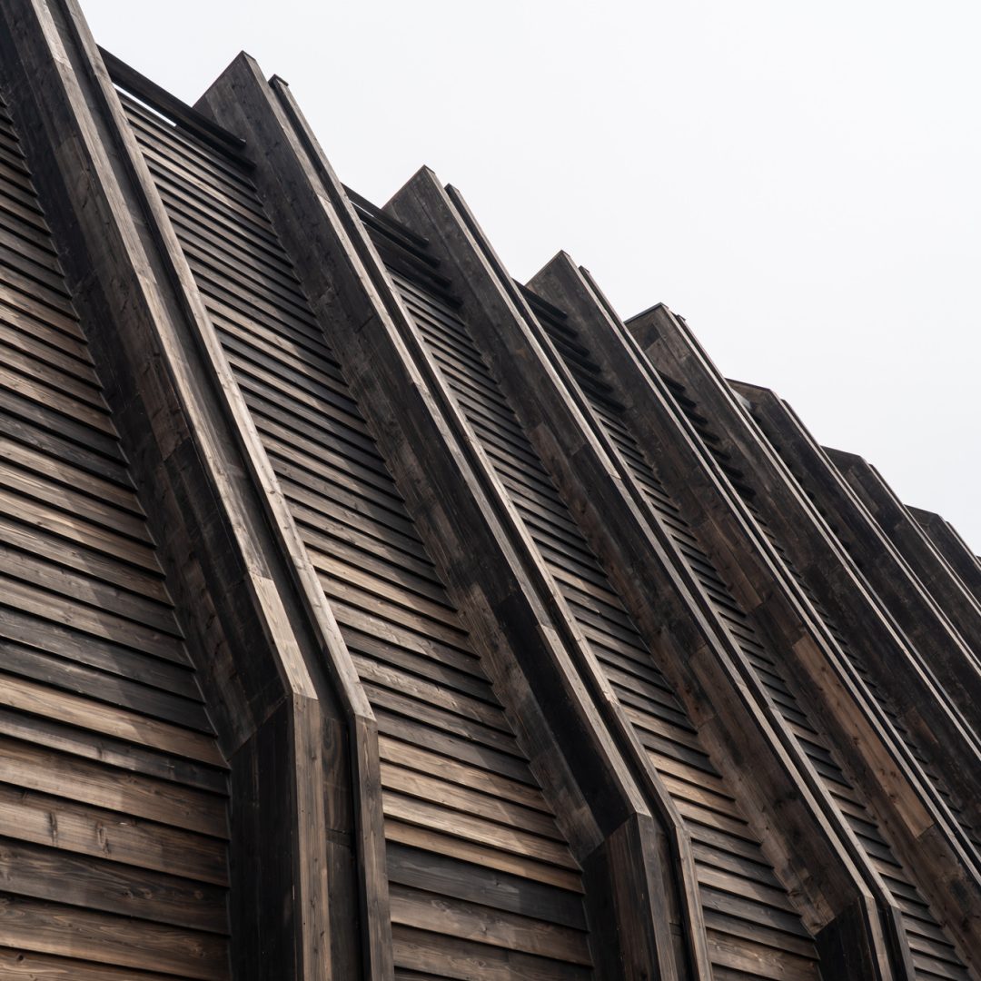 Image © William Mulvhill