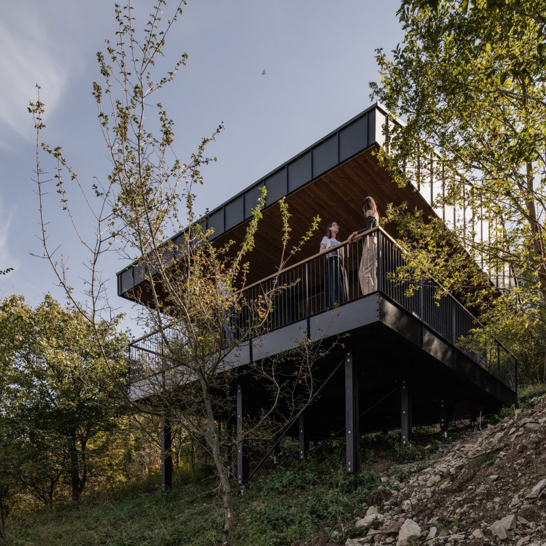 Image © György Palkó