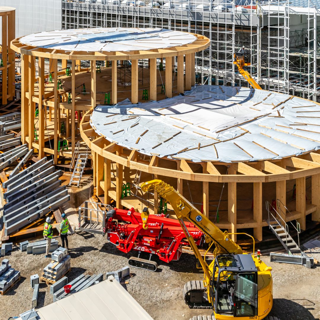 Mutually shaping a circular world – Timber Design and Technology